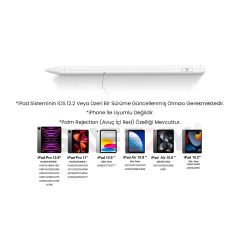 iPad Pro 12.9 İnç 3.4.5.6. Nesil Uyumlu DRW Palm Rejection Özellikli Profesyonel Çizim Kalemi