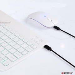 Apple Ipad 6.nesil 9.7 Inç Uyumlu Rgb Işıklı Bluetooth & Wireless Türkçe Klavye Mouse Seti